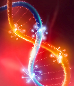 Topology, Spin and Orbital in DNA-type Chiral Quantum Materials