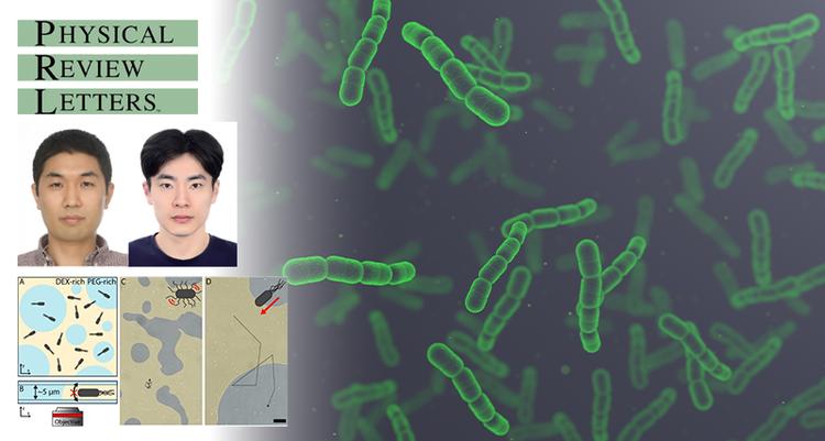[정준우 교수] 티끌보다 작은 세균의 힘, 끼리끼리 노는 통계 분포 법칙 깨긴 충분했다!