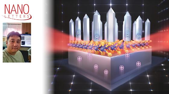 [정건욱 교수]2차원 반도체 LED, 옮겨 붙이지 않고 한 번에 만든다!